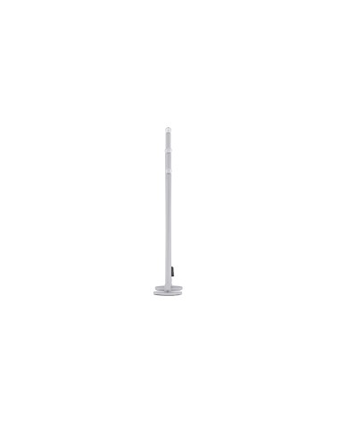 Lampa Björnfjället, Silver
