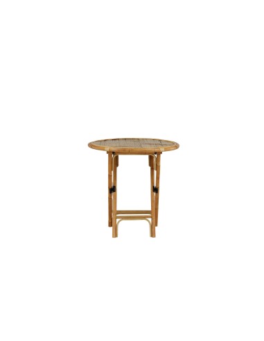 Cane Bord