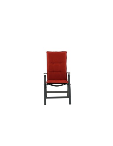 Cushion Dyna 5-pos