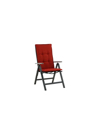 Cushion Dyna 5-pos
