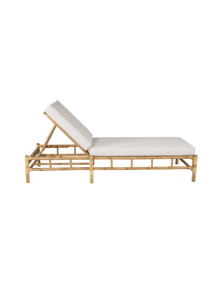 Cane Solstol
