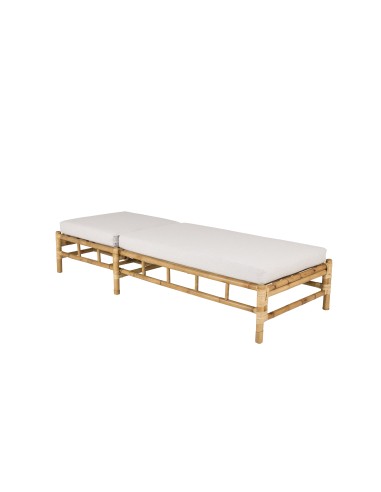 Cane Solstol