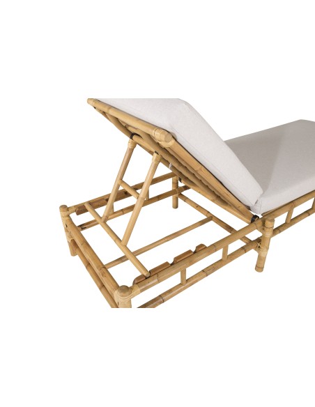 Cane Solstol