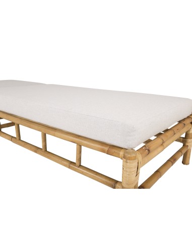 Cane Solstol