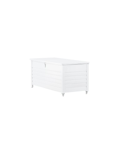 Elsa Dynbox