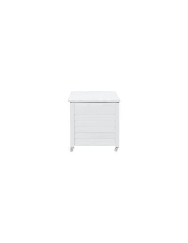 Elsa Dynbox