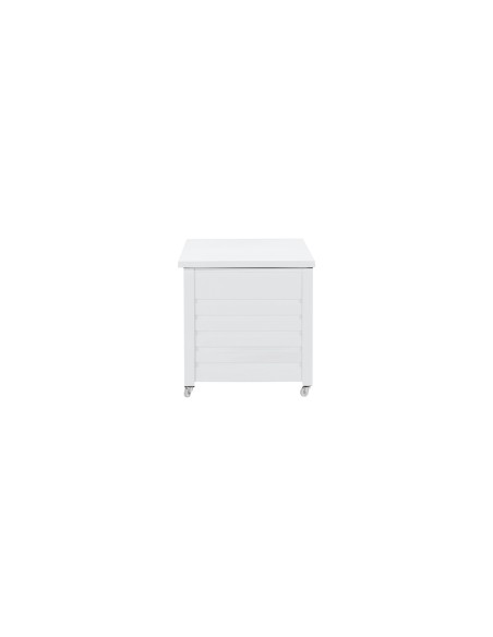 Elsa Dynbox