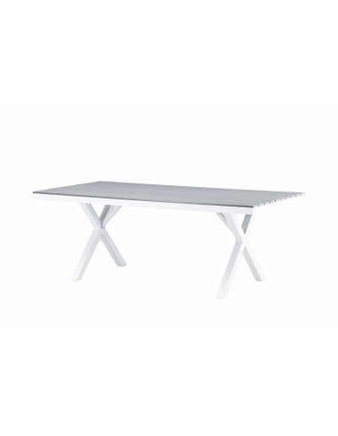 Matbord Garcia, 200 × 100 cm, Grå
