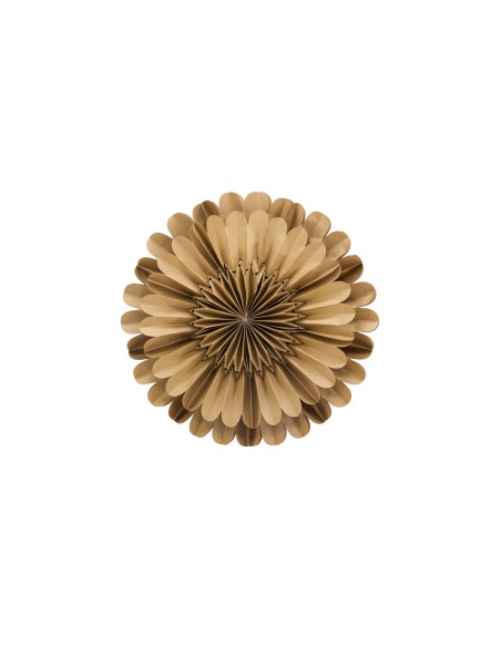 Lampa Järvsön, Brown