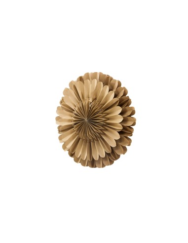 Lampa Järvsön, Brown