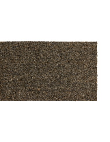 Matta Lionel, 75 x 45, Natur