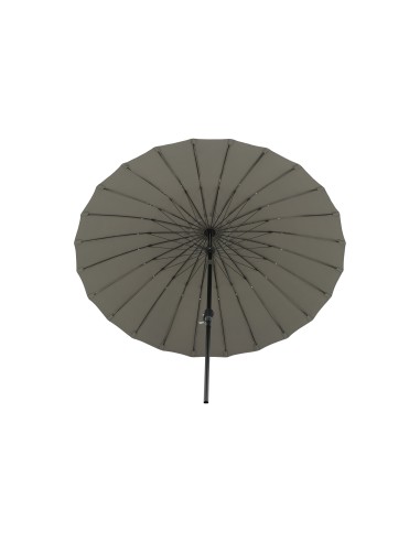 Palmetto Parasoll