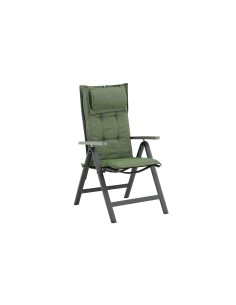 Olive Dyna 5-pos