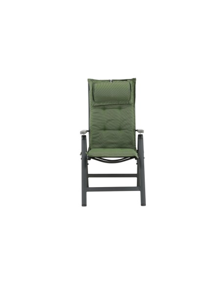 Olive Dyna 5-pos