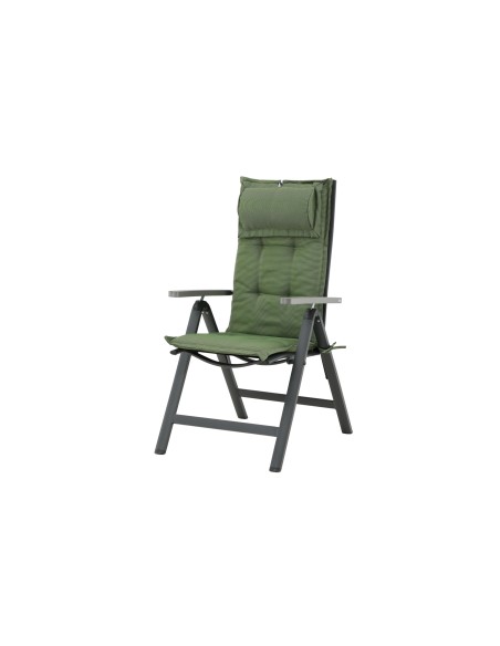 Olive Dyna 5-pos
