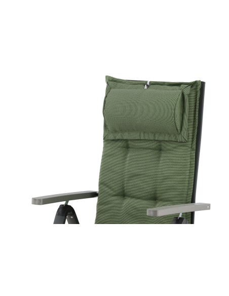 Olive Dyna 5-pos