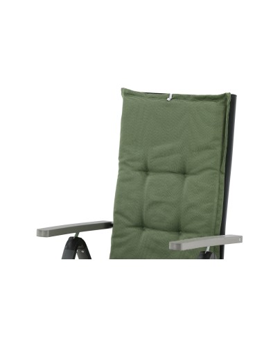 Olive Dyna 5-pos