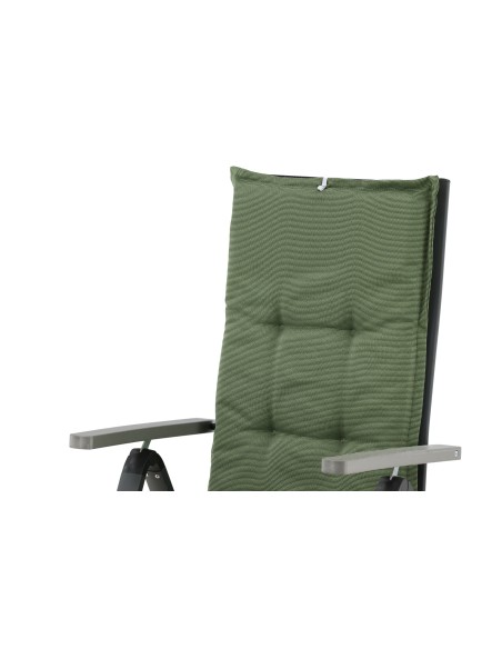 Olive Dyna 5-pos