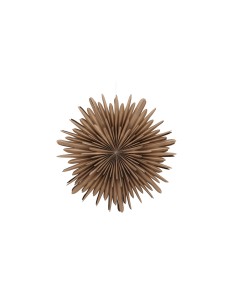 Lampa Sälen, Brown