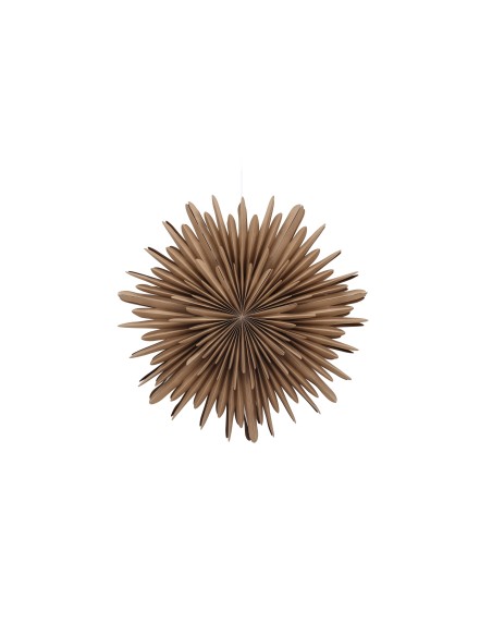 Lampa Sälen, Brown