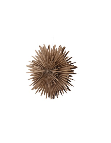 Lampa Sälen, Brown