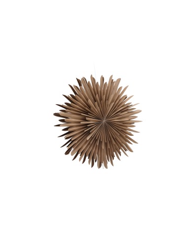 Lampa Sälen, Brown