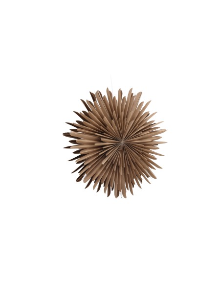 Lampa Sälen, Brown