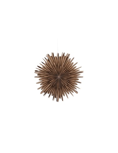 Lampa Sälen, Brown