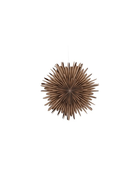 Lampa Sälen, Brown