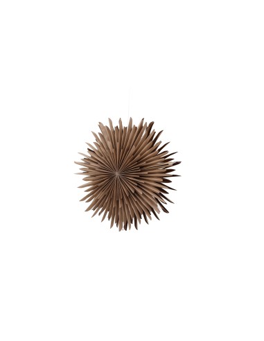 Lampa Sälen, Brown