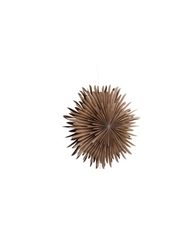 Lampa Sälen, Brown