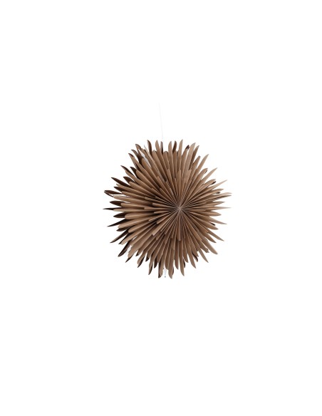 Lampa Sälen, Brown