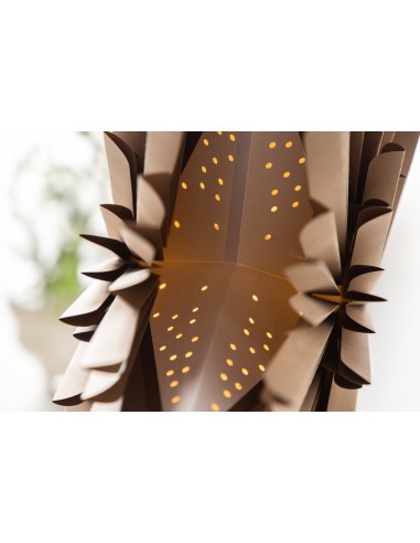 Lampa Sälen, Brown
