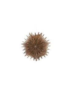 Lampa Sälen, Brown
