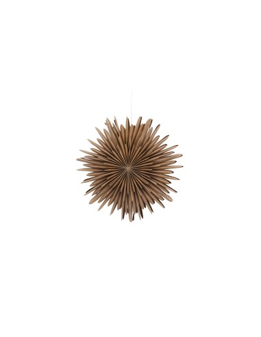 Lampa Sälen, Brown