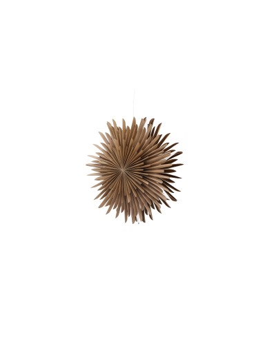 Lampa Sälen, Brown