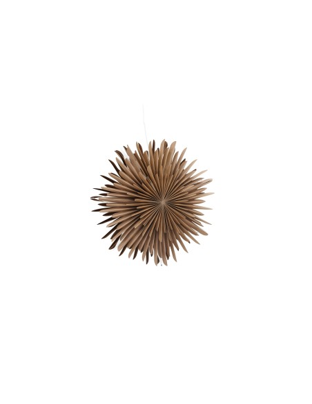 Lampa Sälen, Brown