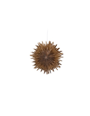 Lampa Sälen, Brown