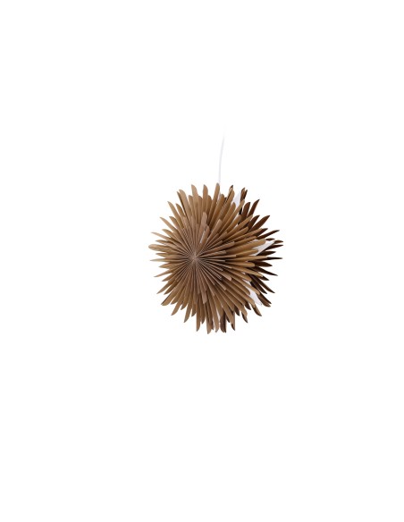 Lampa Sälen, Brown