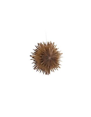 Lampa Sälen, Brown