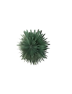 Lampa Sälen, Grön 2