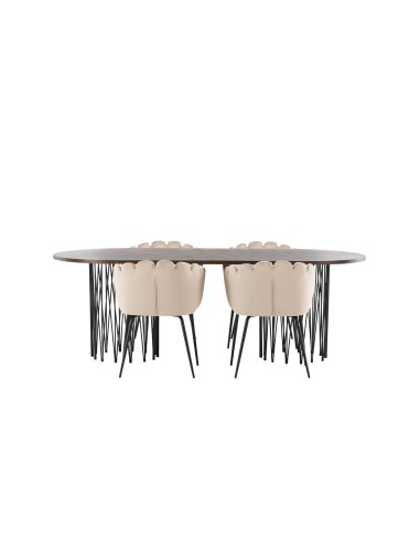 Matgrupp Stone med Limhamn matstolar, 220 × 100 cm