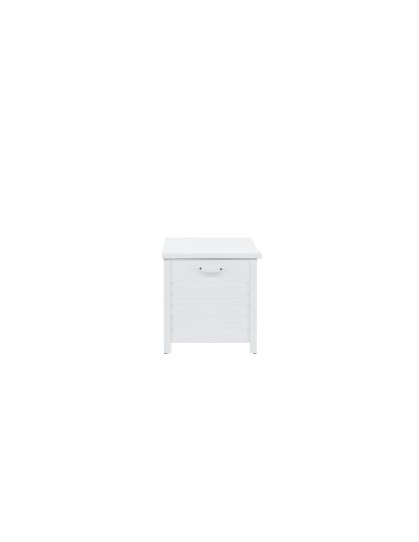 Elsa Dynbox
