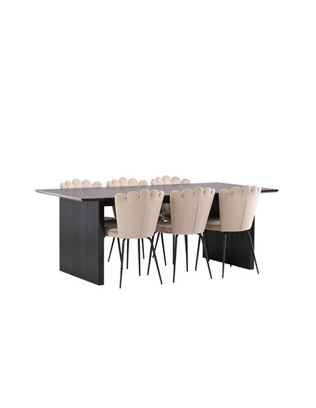 Matgrupp Vail med Limhamn matstolar, 200 × 100 cm