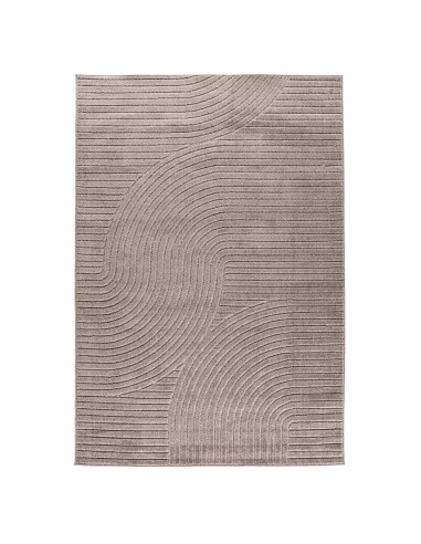 Matta Vince, 290 x 200, Brun