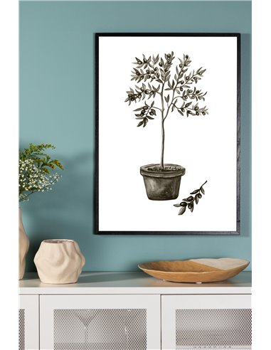 Olive Poster