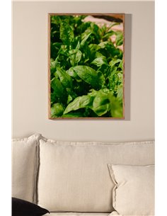 Gree leaf Poster