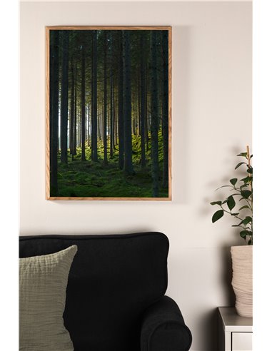 Woods Poster