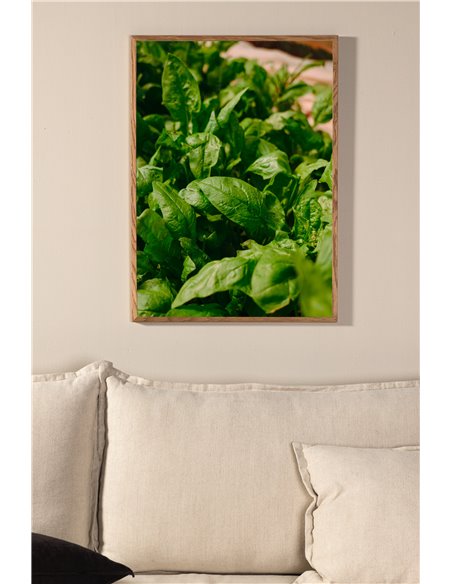 Gree leaf Poster