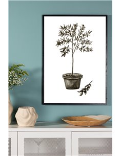 Olive Poster